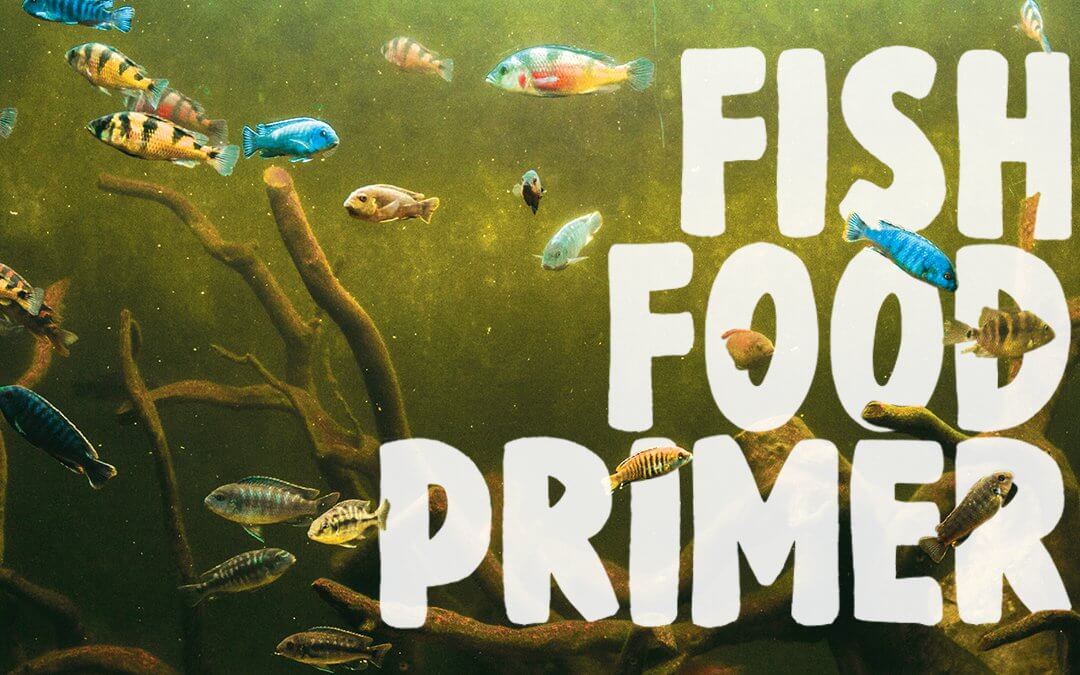 Fish Food Primer